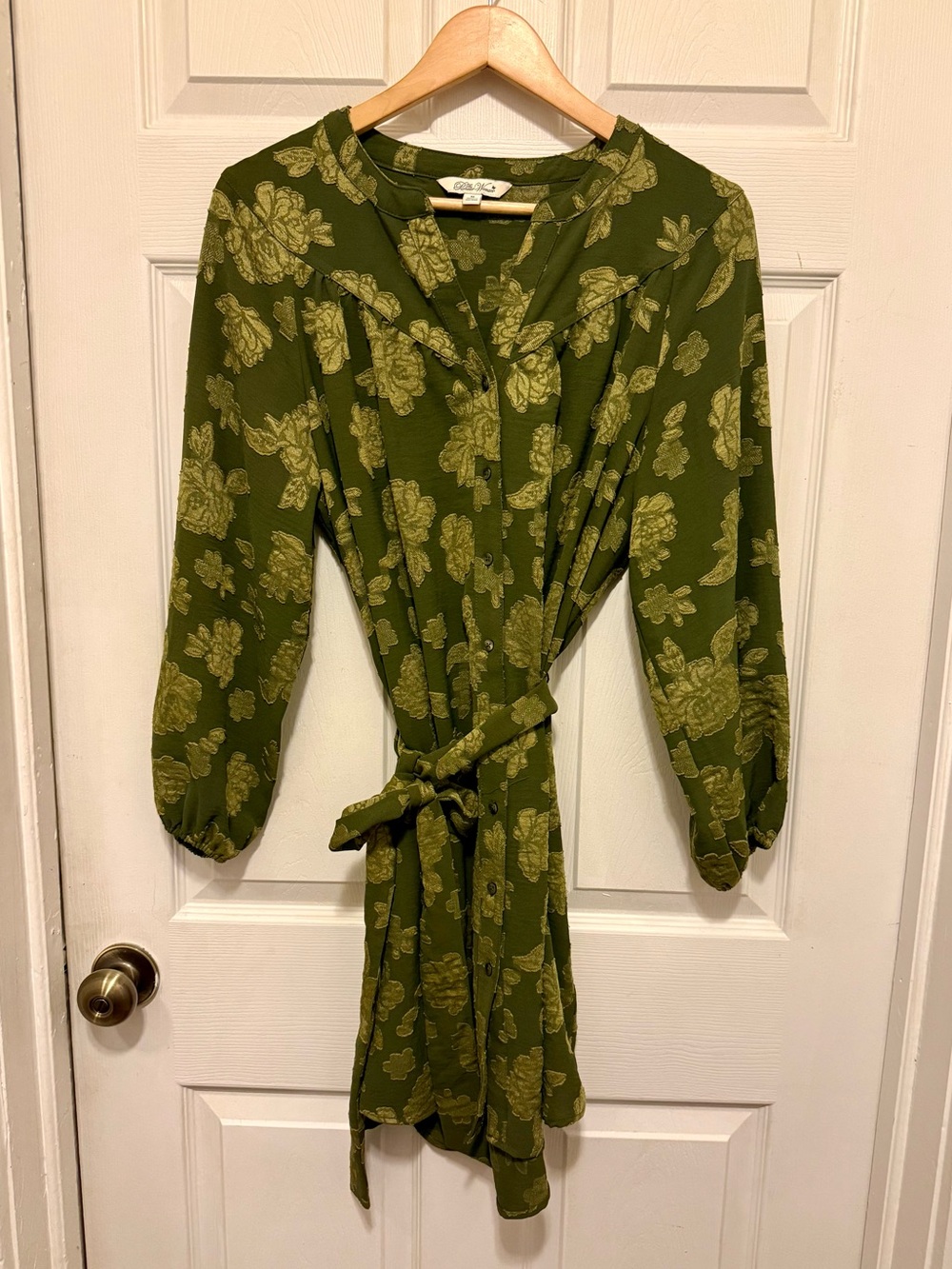 Pioneer Woman Belted Button Up Dress